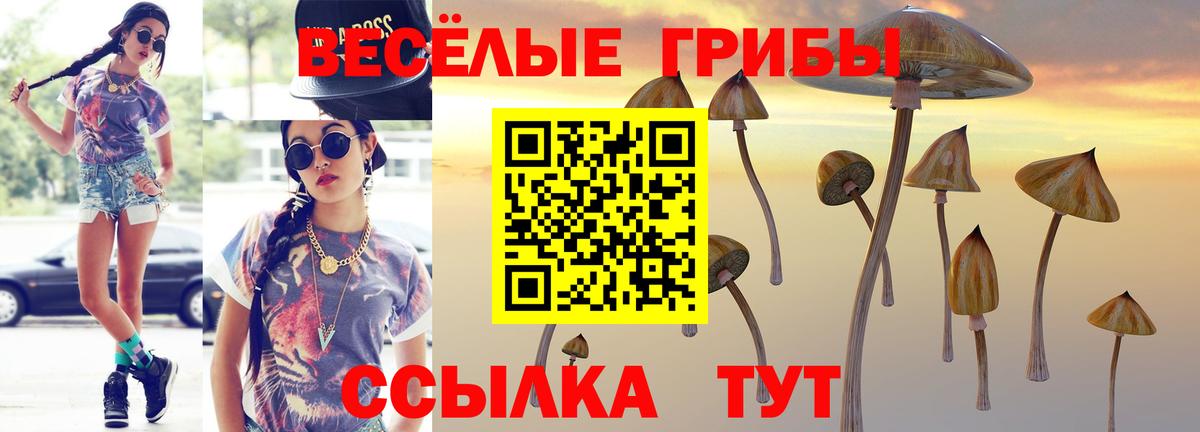 Балашиха  Галлюциногенные грибы GOLDEN TEACHER  Псилоцибиновые грибы ЛСД  Вход с VPN 
