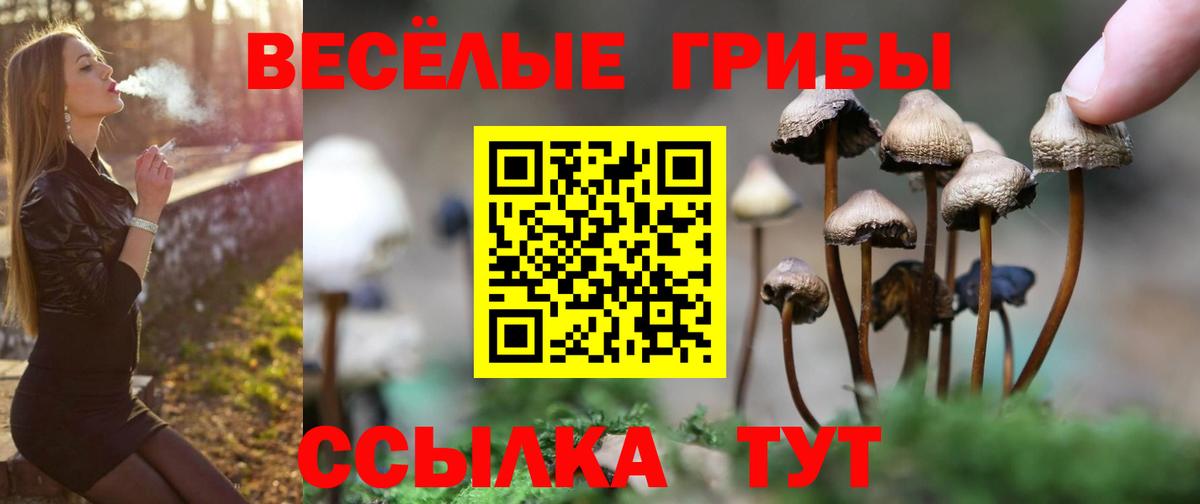 Галлюциногенные грибы Magic Shrooms Балашиха